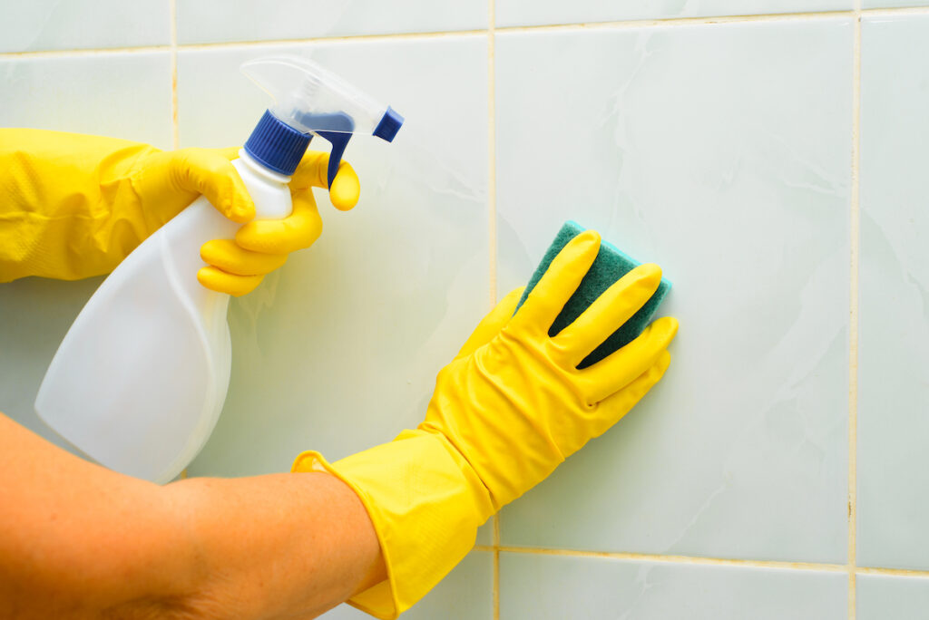 cleaning shower mold